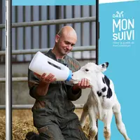 éleveur faisant boire le colostrum à un veau, au biberon