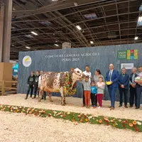 Grande championne normande sia 2025