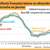 graphique sur l'évolution de la collecte de lait de vache française en 2024 et 2025
