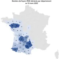 Cartographie du nombre de foyers déclarés MHE par département, en date du 13 mars 2025.