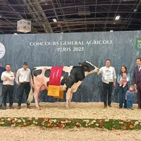championne suprême prim'Holstein SIA 2025