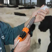 Vaccination en élevage bovin.  Pistolet, seringue et flacon de vaccin pour vache laitière. Produit vétérinaire. Santé des anim