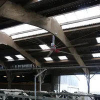 ventilateur à pale horizontale, créant un flux d'air vertical dans une stabulation pour vaches laitières