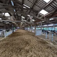 <em class="placeholder">L'aire paillée offre une surface de 1 200 m2 séparée en deux.</em>