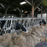 stabulation de la ferme expérimentale à Derval