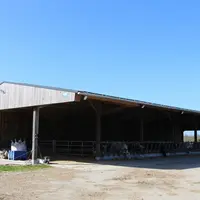 <em class="placeholder">bâtiment pour les génisses</em>