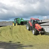 Ensilage de maïs, silo, tassage