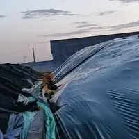 dégagement de gaz toxique au silo