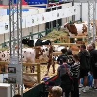 vente génomic elite au space