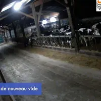 auge vide filmée