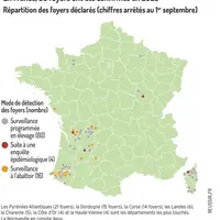 carte de France avec les foyers confirmés de tuberculose bovine au 1er septembre 2025