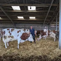 <em class="placeholder">Romain Humblot avec vaches montbéliardes</em>