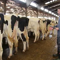 <em class="placeholder">« De 2023 à 2025, la notation des vaches a montré 20% d’amélioration en termes de boiteries, ce qui, à l’échelle du troupeau,