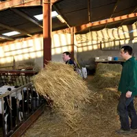 Eleveur donnant les instructions à son salarié. Agriculteur employeur. Transmission des consignes. Discussion. Explication des