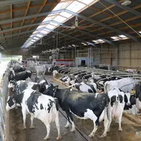 stabulation à logettes robotisée lely grand troupeau au top Côtes d'Armor