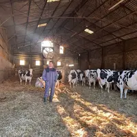 <em class="placeholder">Nicolas Bazart, éleveur laitier au milieu de ses vaches en préparation au vêlage.</em>