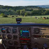 Tableau de bord d'avion face à un paysage de prairie avec des vaches laitières