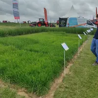 Parterre de présentation des fourrages au salon de l'herbe