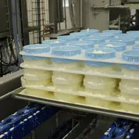 transformation du lait de vache en fromage