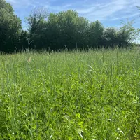 Parcelle de méteil
