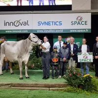 Soparfaite de la Saudraie, vache de race Brune sacrée grande championne du concours Brune au Space 2026
