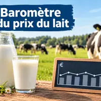 vaches laitières avec broc et verre de lait, une courbe et l'indication "baromètre du prix du lait"