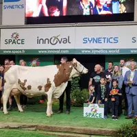 Rihanna, une vache de race montbéliarde, élue Championne suprême du Space 2026