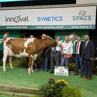 Grande Championne : Tina P (Rozen P x Faithful R), propriété de Le Roux Pierrick (22)