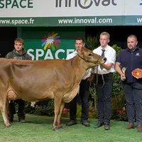 Tetrobell (Guimo Joel x VJ Lure) du Gaec du Gard (50)