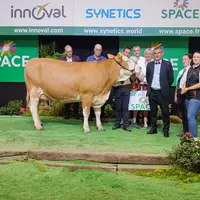 Grande championne, championne et meilleure mamelle de la section jeune (1ère lactation) : Ultra (Enjoy X Figo) du Gaec Breizh Simm (56)