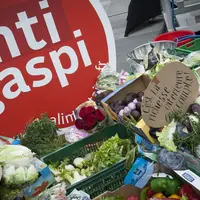Gaspillage alimentaire