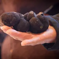 truffe