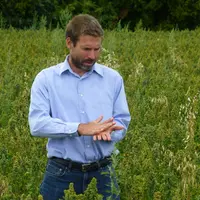 Quinoa bio