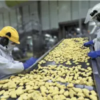 salariés coronavirus