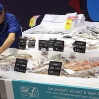 Rayon poissonnerie