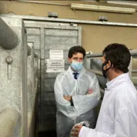 abattoir