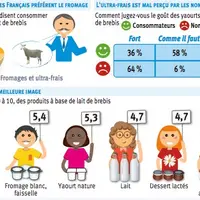 Infographie consommation lait de brebis