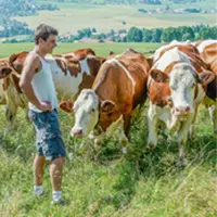 Les d’indicateurs d’évaluation du
bien-être animal, élaborés au sein
d’un groupe interprofessionnel,
seront mis à l’épreuve du terrain.