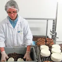 La Fromagerie Delin a été précurseur dès 1998, en matière d’aromatisation des fromages double crème frais : cranberries, papaye, truffes, pain d’épice