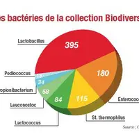 La mise à disposition, par le Cniel,
des collections Biodiversité et
Bastériophages lactiques est la
nouveauté apportée par FranceMil