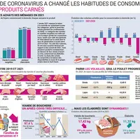 Infographie parue dans Les Marchés Mag de juin 2022