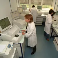 Selon Delphine Thevenot,docteur à l’ENVL, laboratoire national de référence pour les STEC, l’expérience prouve que l’échantillonnage a son importance