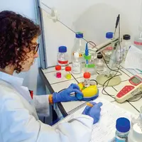 Plusieurs résultats obtenus en laboratoire 
ont déjà été testés au stade pilote.
