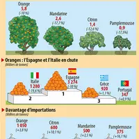 Production européenne d'agrumes
