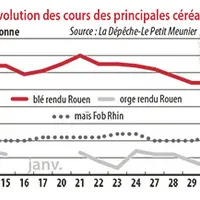 Evolution des cours des principales céréales