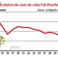 Evolution du cours du colza Fob Moselle