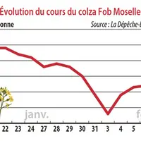 Evolution des cours du colza