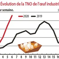 Evolution de la TNO de l'oeuf industrie