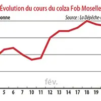 Évolution du cours du colza Fob Moselle