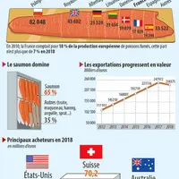 Production européenne de poissons fumés